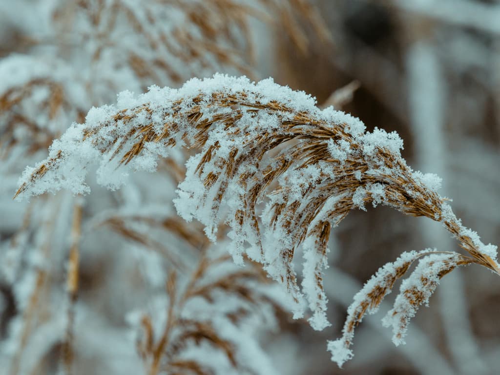 Wintermoe? Met deze feng shui ochtendroutine start jij je dag in balans