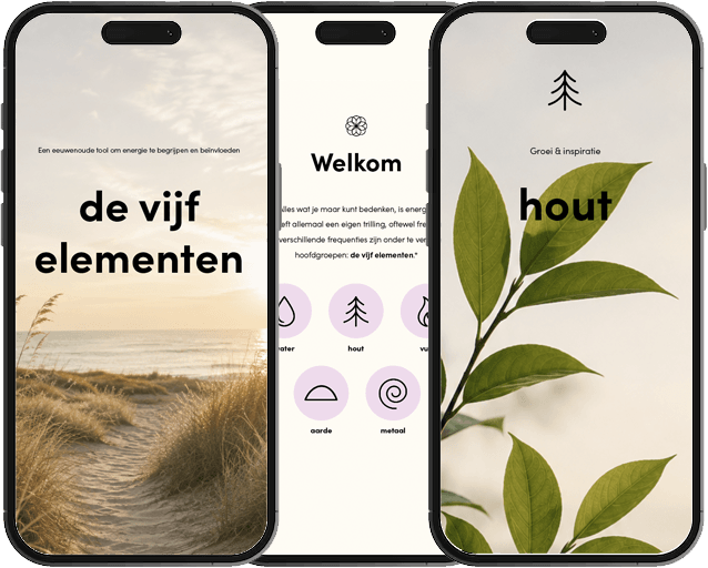 De vijf elementen mockup